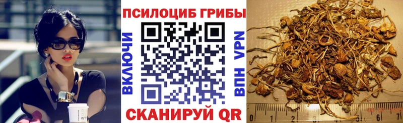 Купить закладки  Воркута  Псилоцибиновые грибы GOLDEN TEACHER 